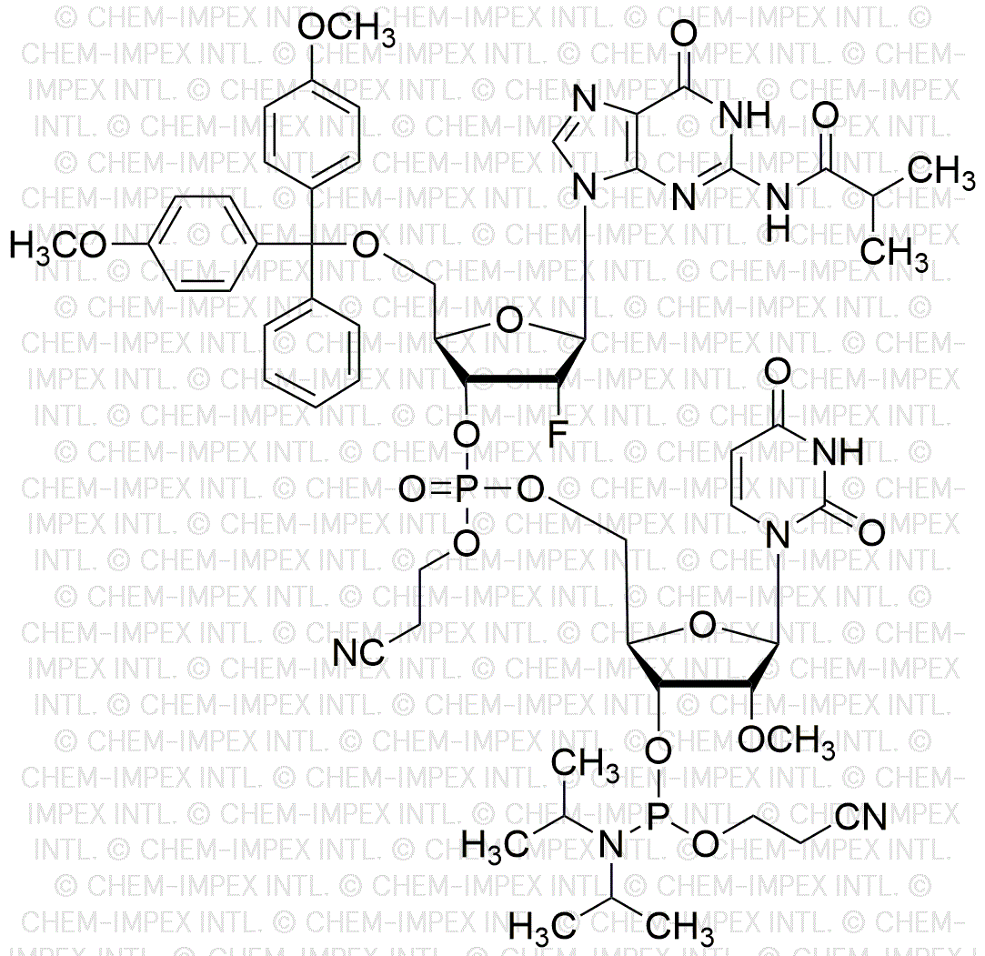 [5'-O-(4, 4'-Dimethoxytrityl)-2'-fluoro-2'-deoxyguanosine(isobutyryl)](pCyEt)[2'-O-methyl-U-3'-cyanoethyl phosphoramidite]