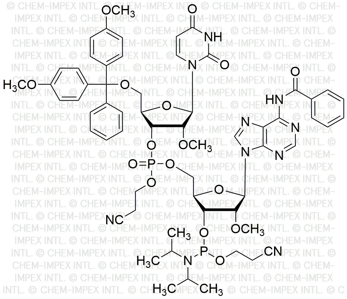 [5'-O-(4, 4'-Dimethoxytrityl)-2'-O-methyl-U](pCyEt)[5'-O-(4, 4'-dimethoxytrityl)-2'-O-methyl-A(benzoyl)-3'-cyanoethyl phosphoramidite]