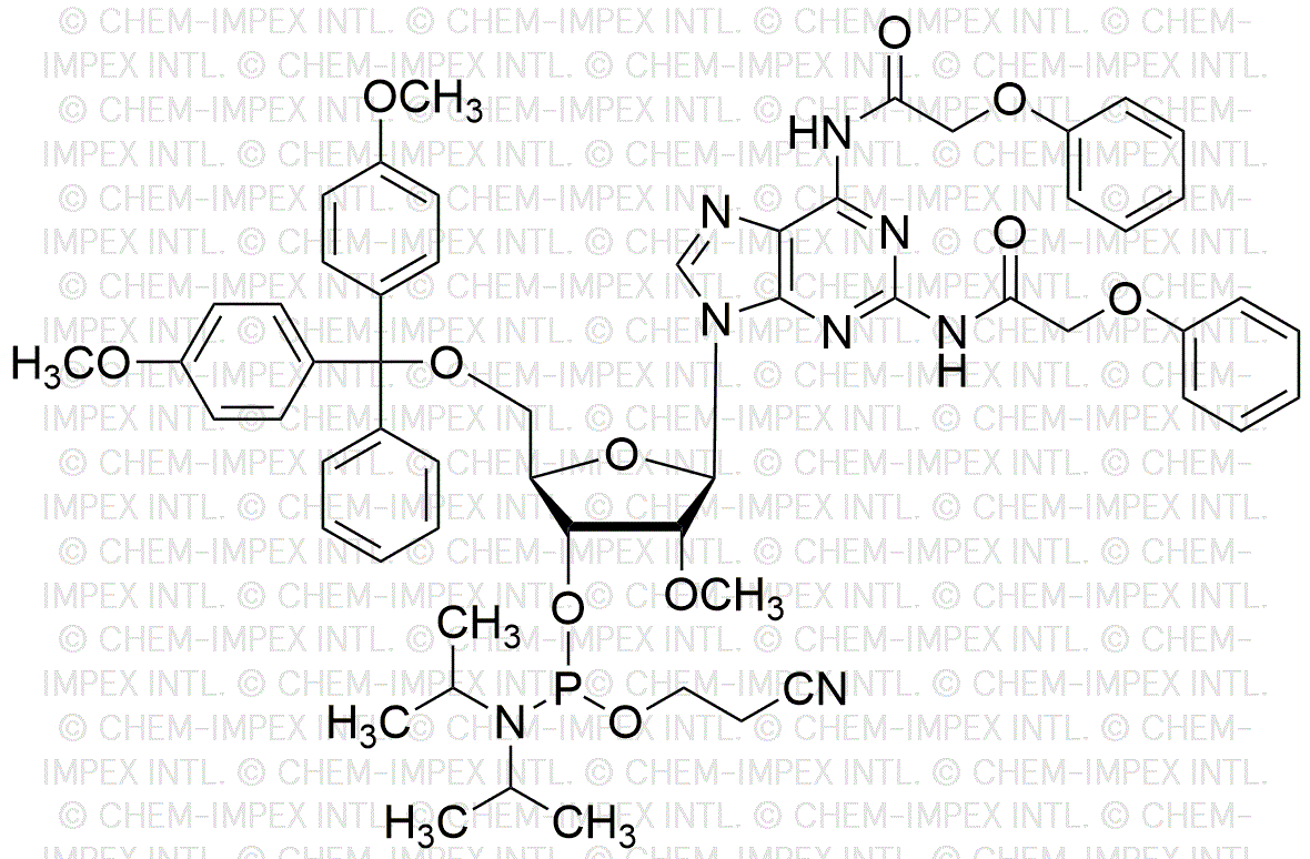 5'-O-(4, 4'-diméthoxytrityl)-2, 6-diamino(N2, N6-diphénoxyacétyl)-2'-O-méthyl-purine riboside-3'-cyanoéthyl phosphoramidite