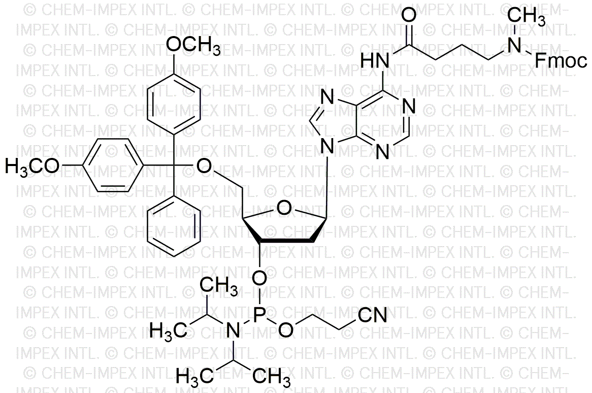 5'-O-(4, 4'-diméthoxytrityl)-N6-[4-(N-fluorénylméthyloxycarbonyl-N-méthyl-amino)butyryl]-2'-désoxyadénosine-3'-cyanoéthyl phosphoramidite