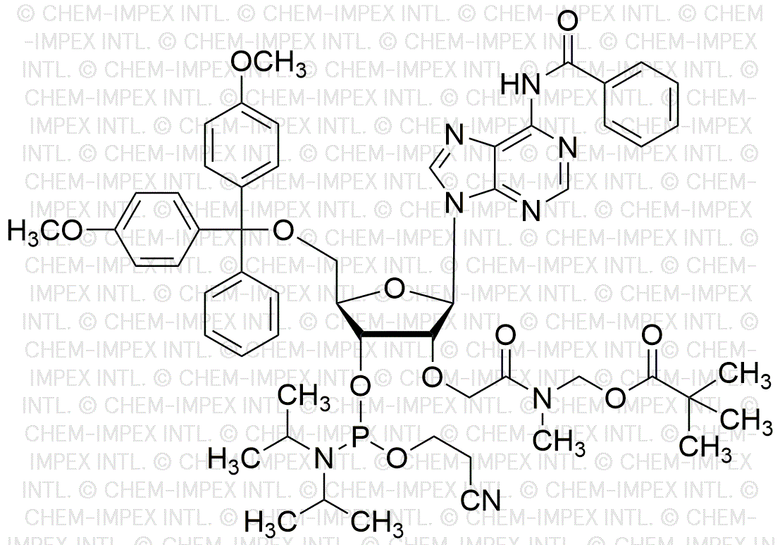 5'-O-(4, 4'-diméthoxytrityl)-N6-benzoyl-2'-O-pivaloyloxyméthyl[2-(méthylamino)-2-oxoéthyl]-adénosine-3'-[(2-cyanoéthyl)-N, N-diisopropyl]phosphoramidite