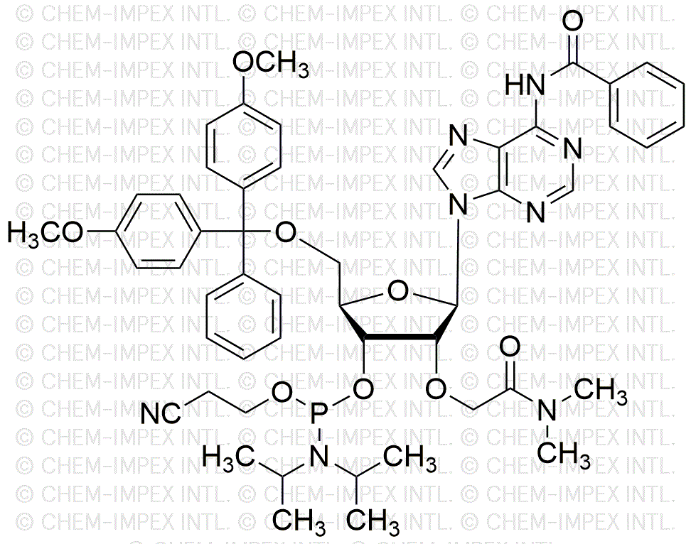 N6-Benzoil-5'-O-(4, 4'-dimetoxitritil)-2'-O-[2-(dimetilamino)-2-oxoetoxi]adenosina-3'-O-[(2-cianoetil)-N, N-diisopropil] fosforamidita