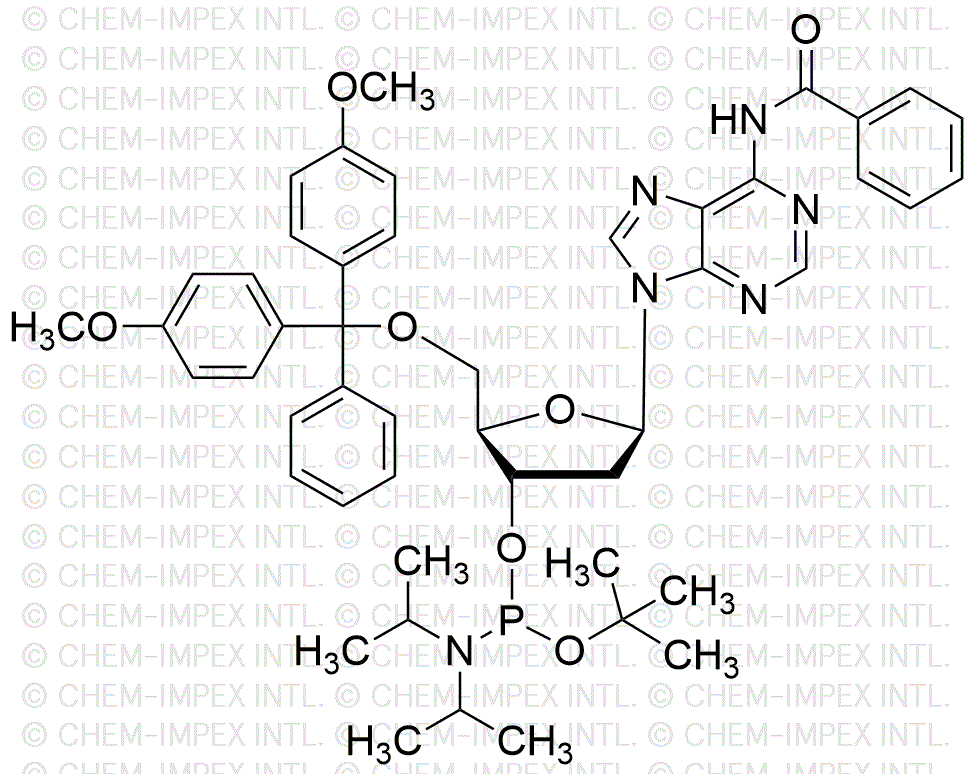 5'-O-(4, 4'-diméthoxytrityl)-N6-benzoyl-2'-désoxyadénosine-3'-O-[tert-butyl-N, N-diisopropyl] phosphoramidite