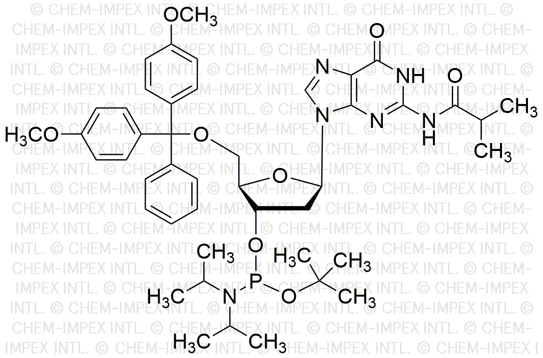 5'-O-(4, 4'-diméthoxytrityl)-N2-isobutyryl-2'-désoxyguanosine-3'-O-[tert-butyl-N, N-diisopropyl] phosphoramidite