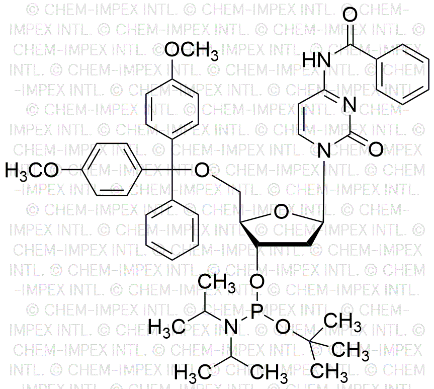 5'-O-(4, 4'-Dimethoxytrityl)-N4-benzoyl-2'-deoxycytidine-3'-O-[tert-butyl-N, N-diisopropyl] phosphoramidite