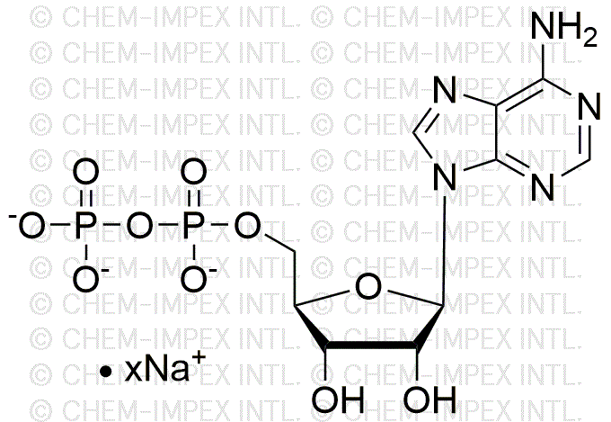 Adenosine 5'- diphosphate, 100mM sodium salt solution