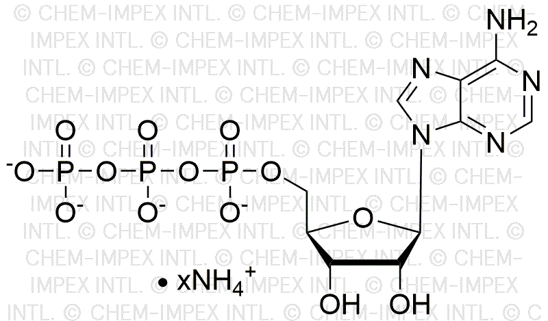 Adenosine 5'-triphosphate, 200mM ammonium salt solution