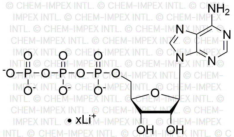 Adenosine 5'-triphosphate, 200mM lithium salt solution