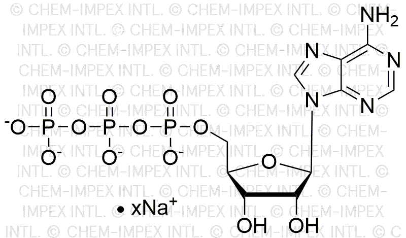 Adénosine 5'-triphosphate, solution de sel de sodium 200 mM