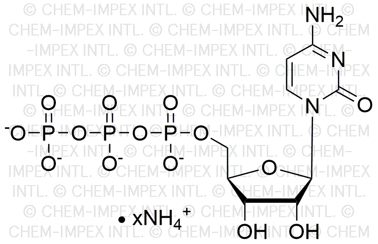 Cytidine 5'-triphosphate, solution de sel d'ammonium 200 mM