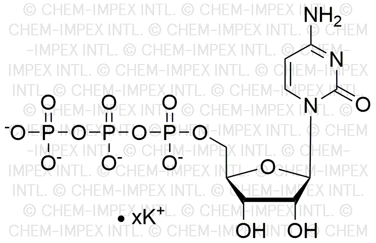 Cytidine 5'-triphosphate, solution de sel de potassium 200 mM