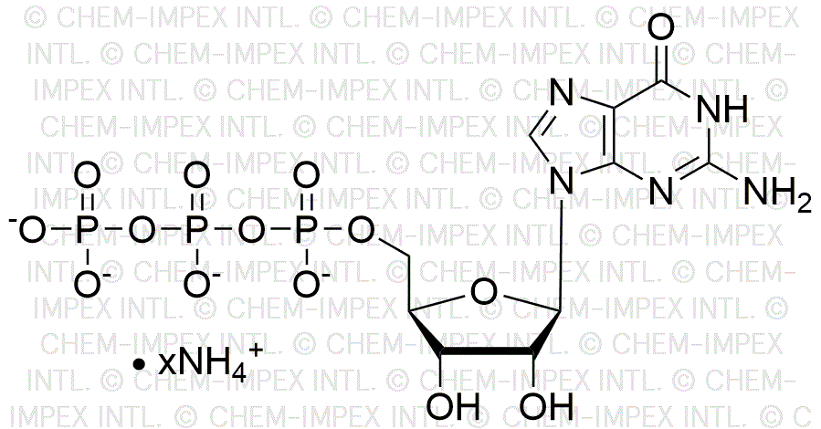 Guanosine 5'-triphosphate, solution de sel d'ammonium 200 mM