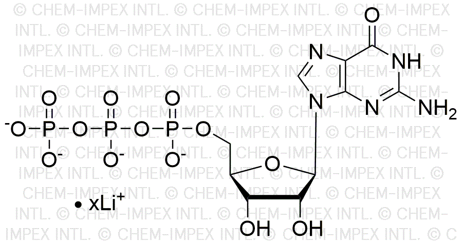 Guanosine 5'-triphosphate, solution de sel de lithium 200 mM