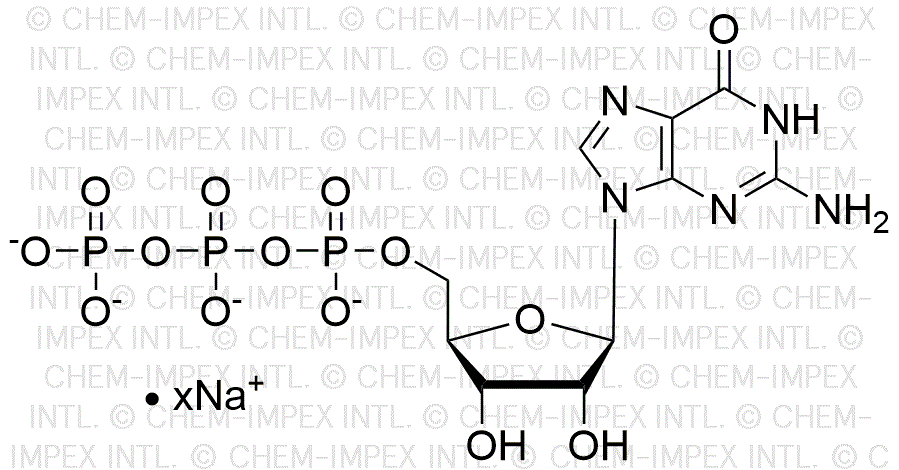 Guanosine 5'-triphosphate, 200mM sodium salt solution