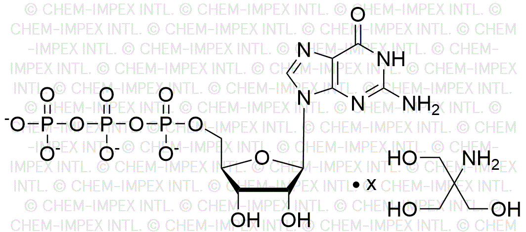 Guanosine 5'-triphosphate, solution de sel tris 100 mM