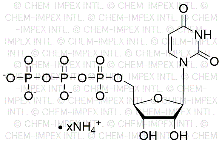 Uridine 5'-triphosphate, solution de sel d'ammonium 200 mM