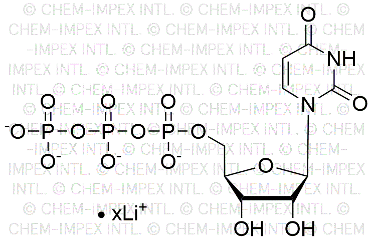 Uridine 5'-triphosphate, solution de sel de lithium 200 mM