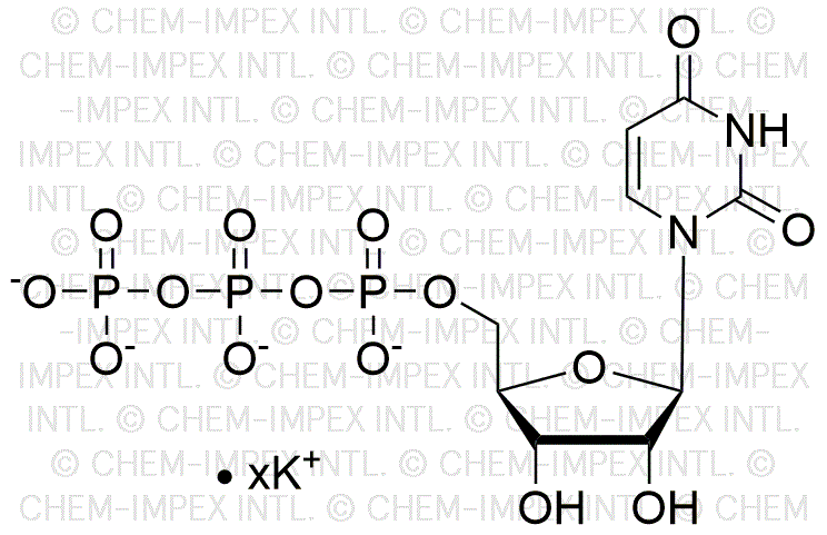 Uridine 5'-triphosphate, 200mM potassium salt solution