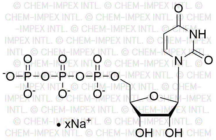 Uridine 5'-triphosphate, solution de sel de sodium 200 mM