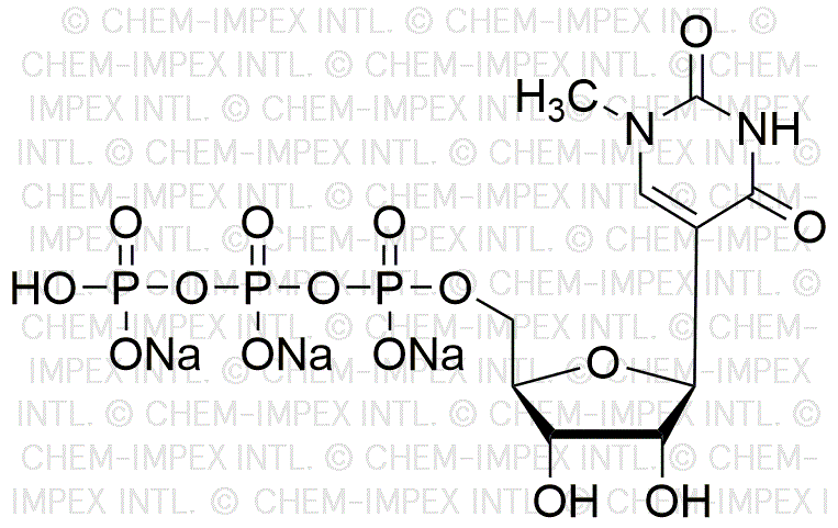 1-N-Methyl-pseudouridine 5'- triphosphate, 100mM trisodium salt solution