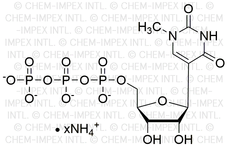 1-N-méthyl-pseudouridine 5'-triphosphate, solution de sel d'ammonium 200 mM