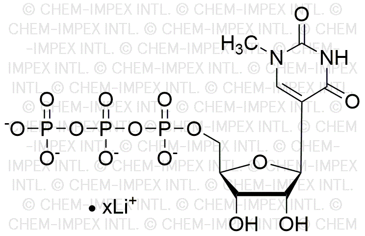 1-N-méthyl-pseudouridine 5'-triphosphate, solution de sel de lithium 200 mM