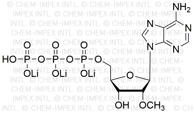 2'-O-méthyl-adénosine-5'-triphosphate, solution de sel de lithium 100 mM