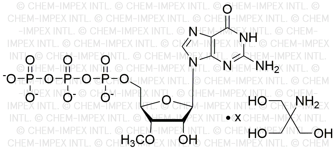 3'-méthoxy-guanosine 5'-triphosphate, solution de sel tris 100 mM