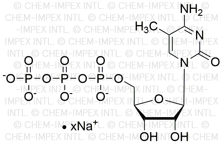 5-méthyl-cytidine-5'-triphosphate, solution de sel de sodium 100 mM