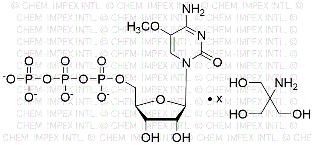 5-Methyl-cytidine-5'- triphosphate, 200mM tris salt solution