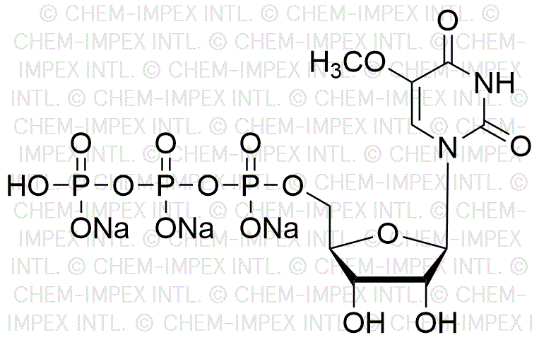 5-Methoxy-uridine 5'- triphosphate, 100mM trisodium salt solution