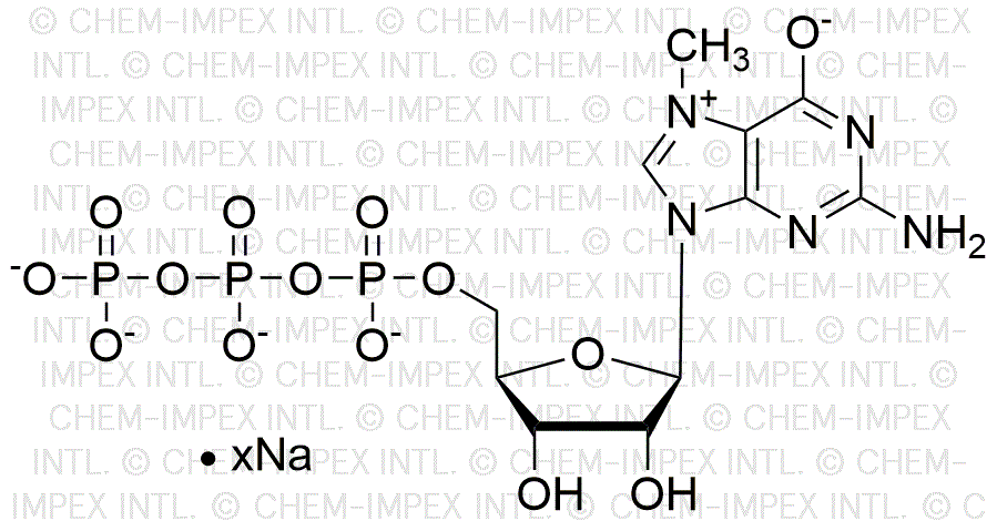 N7-Me-GTP, 100mM sodium salt solution