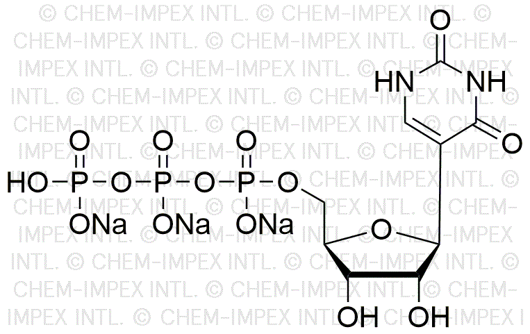 Pseudouridine 5'-triphosphate, solution de sel de sodium 100 mM