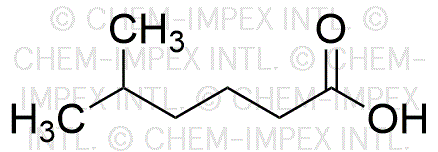 Ácido 5-metilhexanoico